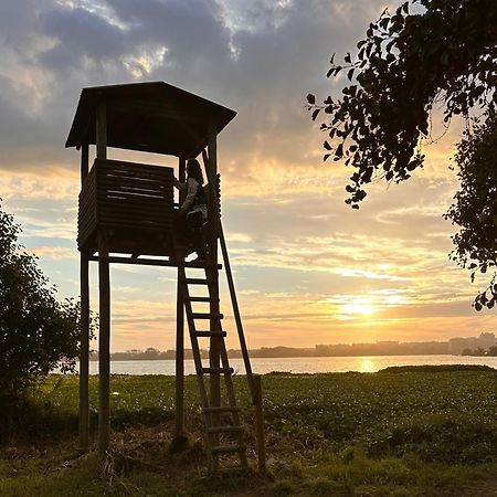 מירה Casa Do Areal, Refugio Das Rotas Pedestres Em Mira מראה חיצוני תמונה