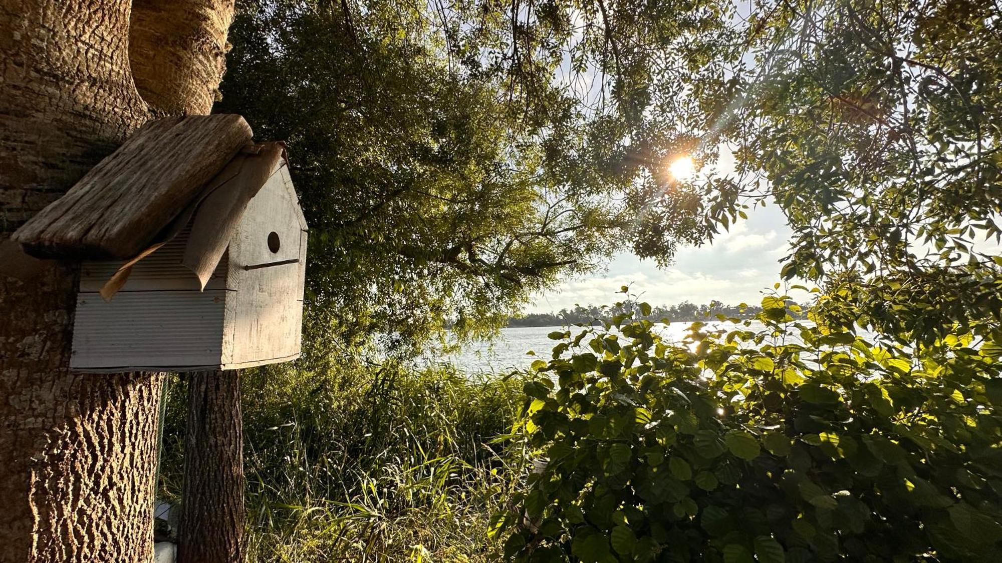 מירה Casa Do Areal, Refugio Das Rotas Pedestres Em Mira מראה חיצוני תמונה